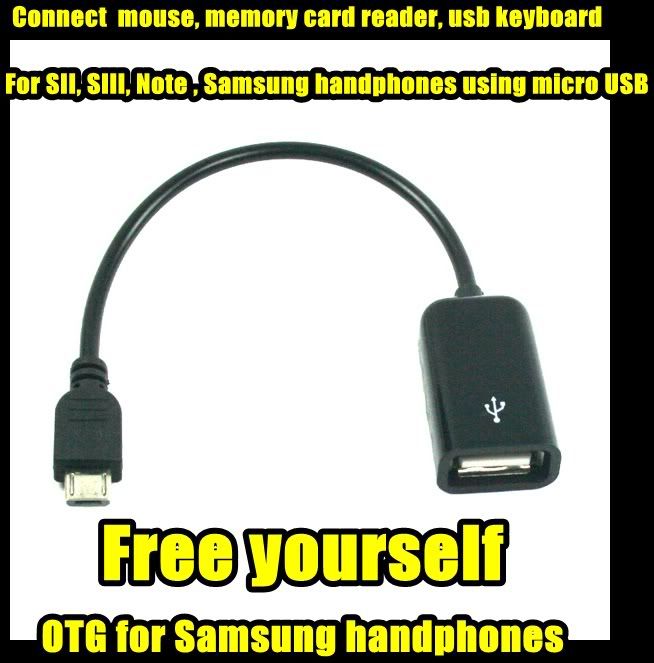 OTGMicroUSB.jpg 