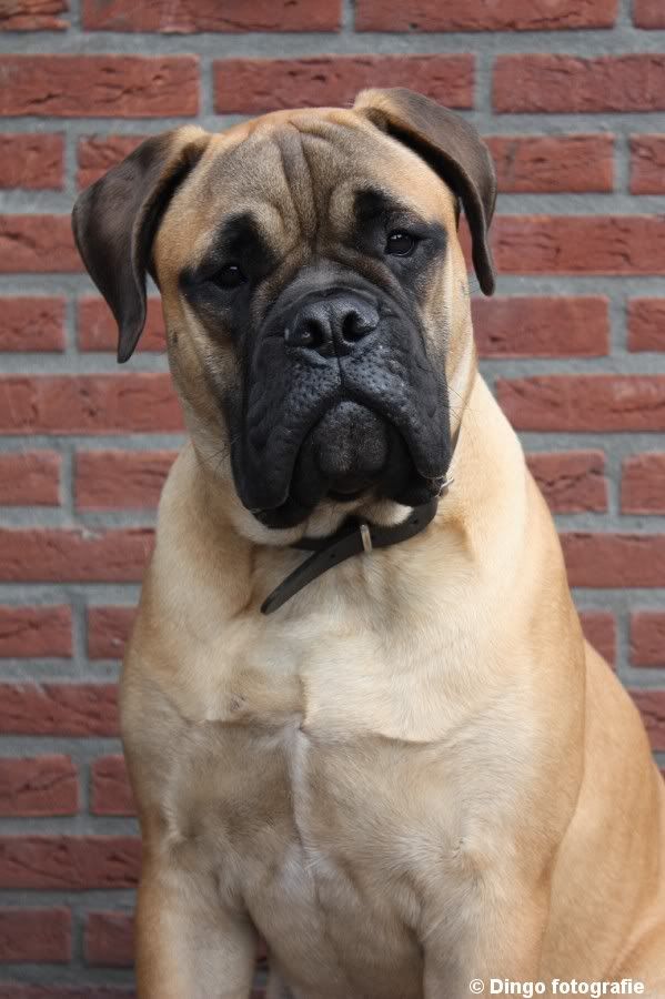 Fotografie