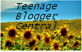 Teen Blogger Directory