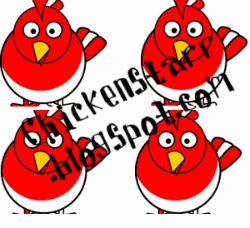 CHICKENSTARR.BLOGSPOT.COM