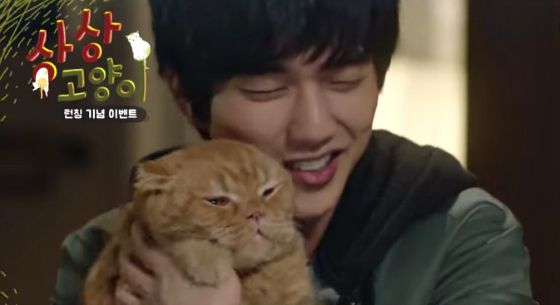 More cat cuddles for Yoo Seung-ho
