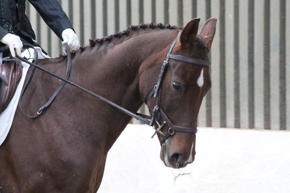 Can you use a full cheek with a micklem bridle?