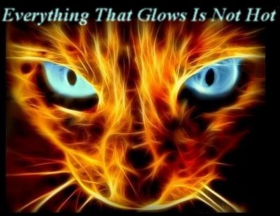 FireCat.jpg