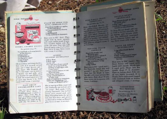 vintage cookbook 550