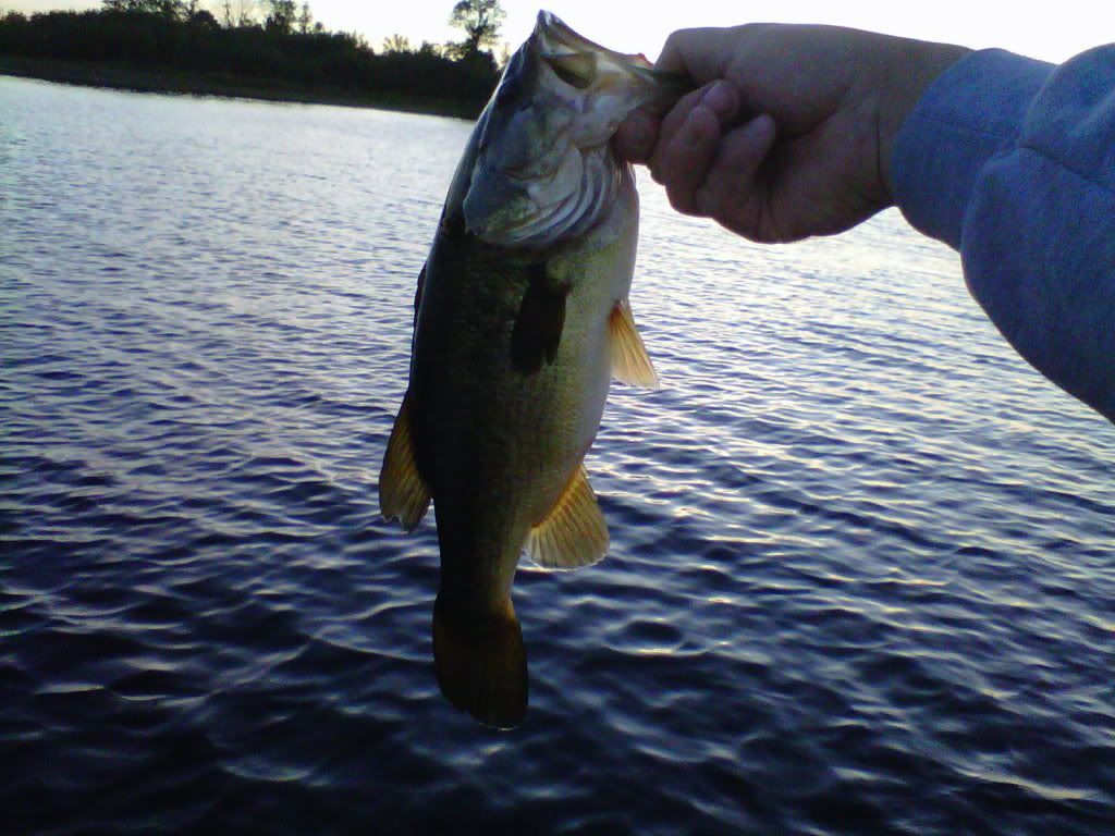 fishing009.jpg