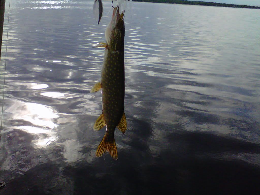 fishing010.jpg