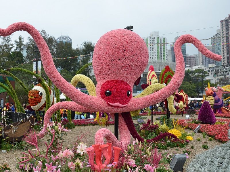  photo HKFlowerShow2014-09.jpg