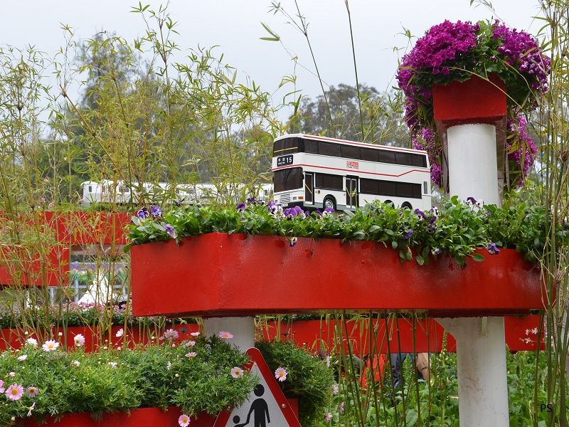  photo HKFlowerShow2014-14.jpg