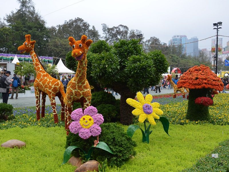  photo HKFlowerShow2014-15.jpg