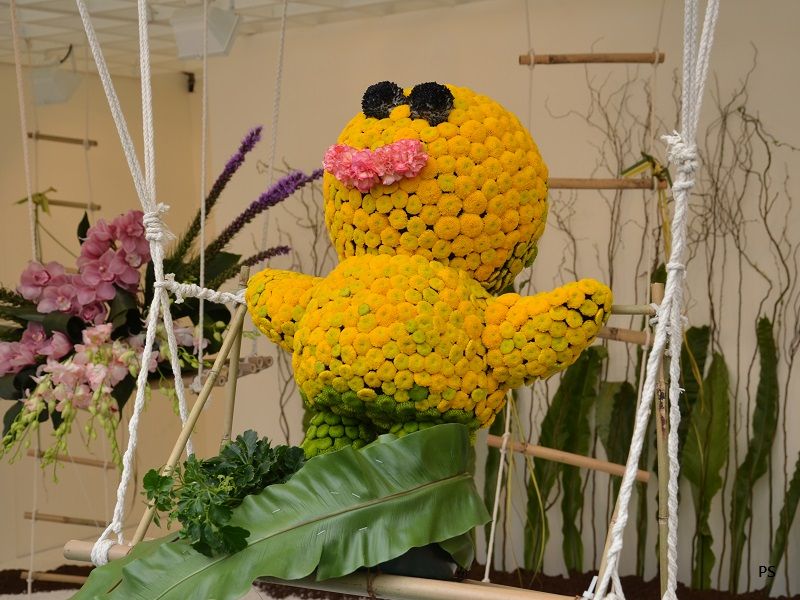  photo HKFlowerShow2014-19.jpg