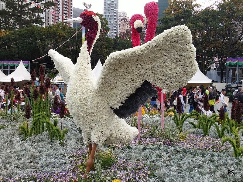  photo HK Flower Show 2015-06.jpg