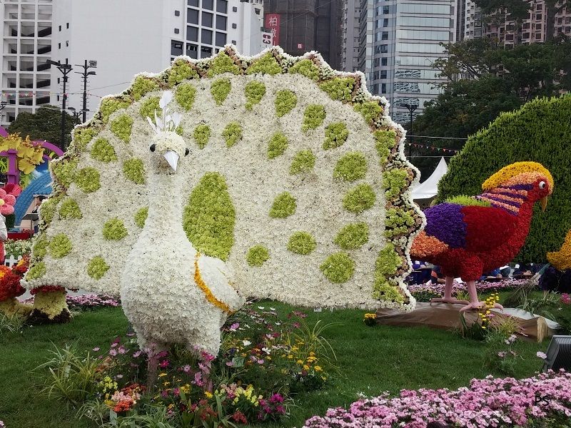  photo HK Flower Show 2015-07.jpg