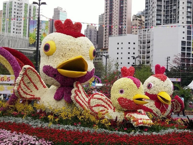  photo HK Flower Show 2015-10.jpg