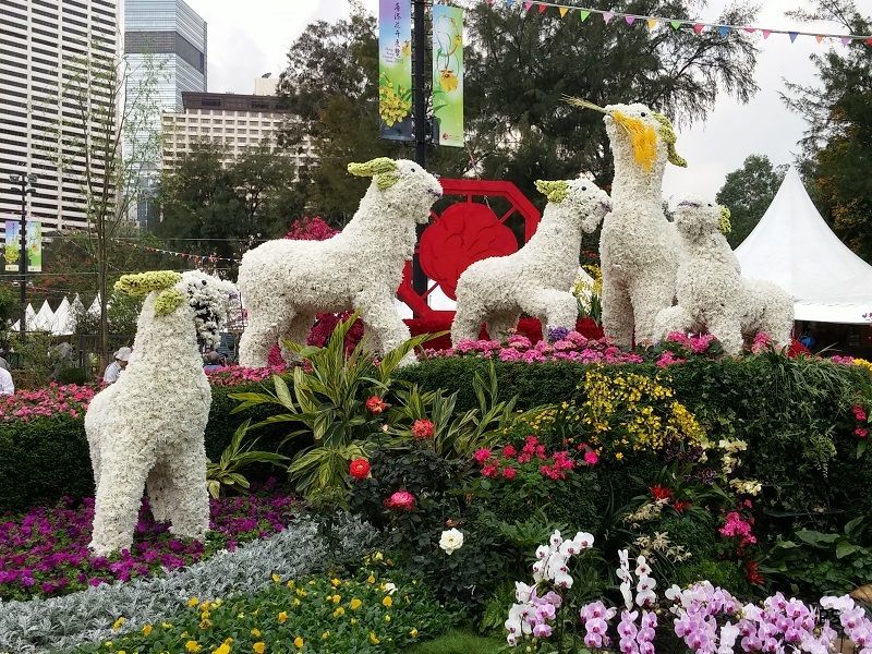  photo HK Flower Show 2015-13.jpg