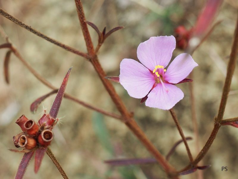  photo Kadoorie Farm-04.jpg