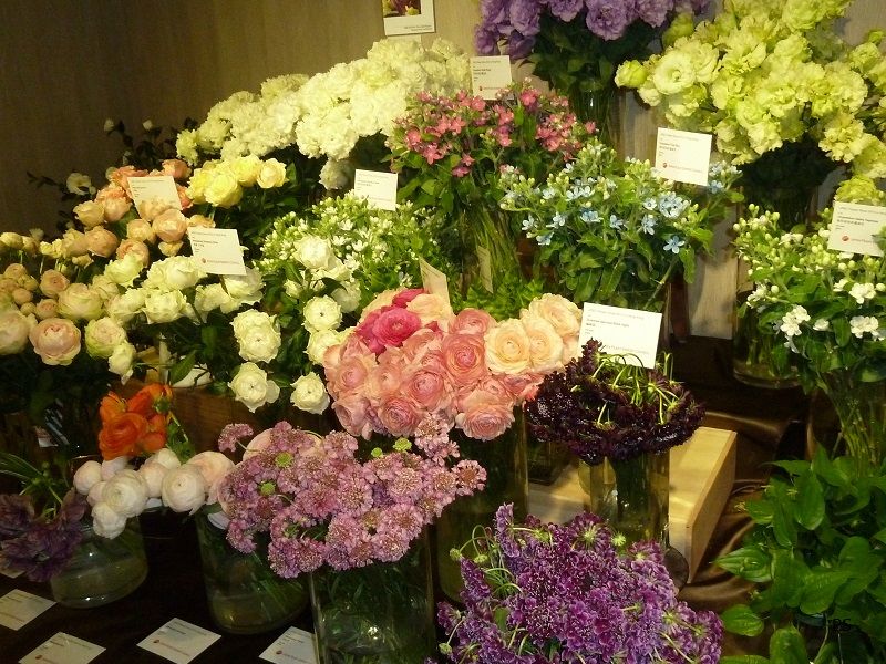  photo 4thJPECFlowerShow-09.jpg