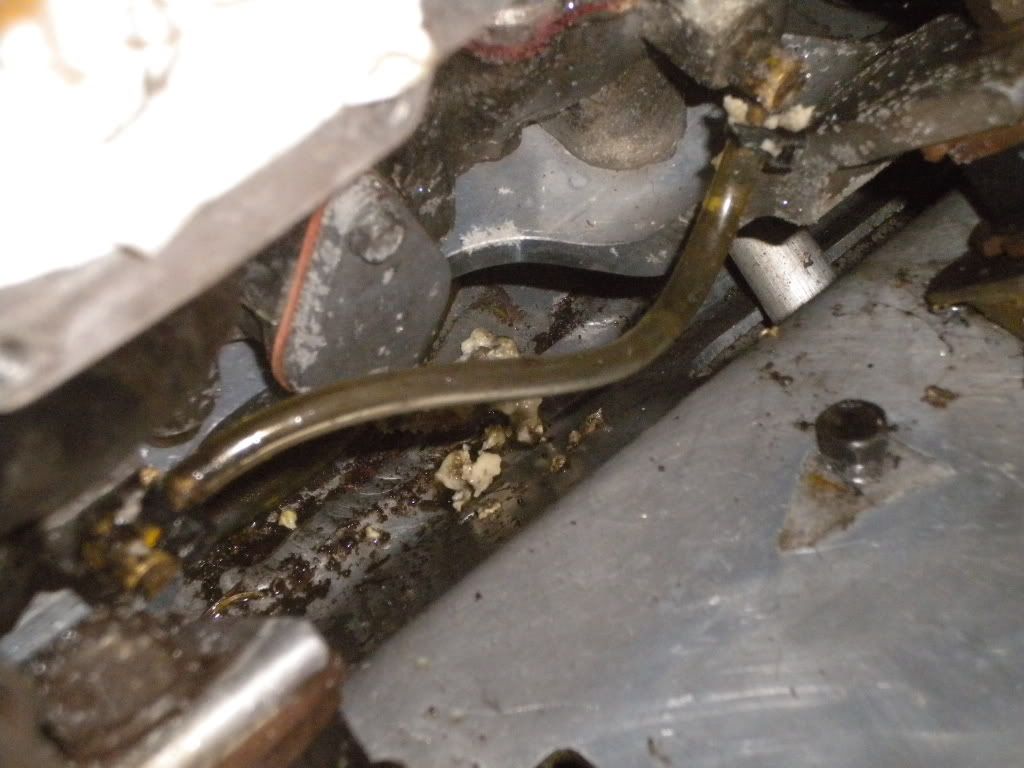 Oil injection delete SkiDoo Snowmobiles Forum