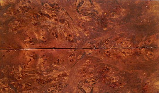 myrtle burl wood