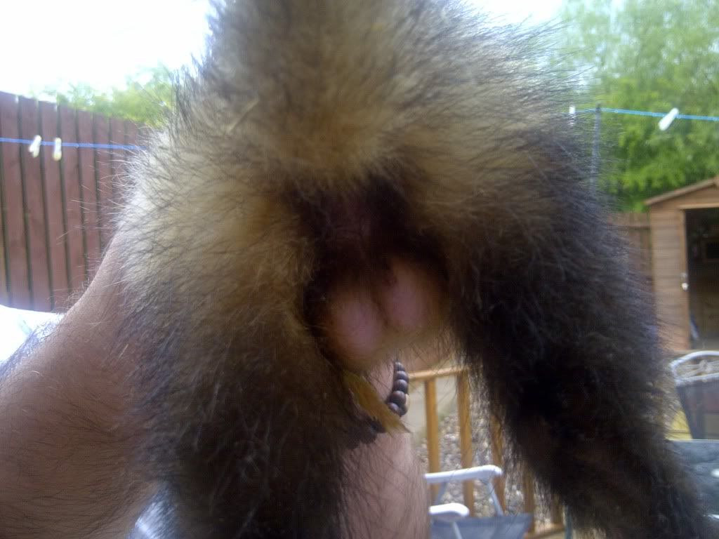 IMG-20110626-00045.jpg