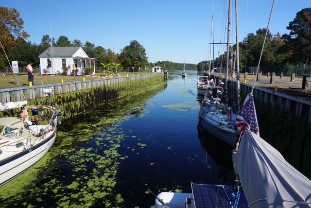 partially dismal swamp duckweed canal opened issue re suhay editor