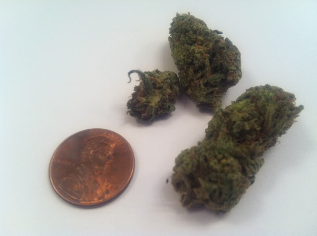 Mint smelling weed? Grasscity Forums The 1 Marijuana Community Online