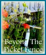 Beyond The Picket Fence