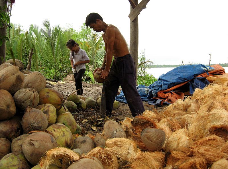 Du lich bui Ben Tre