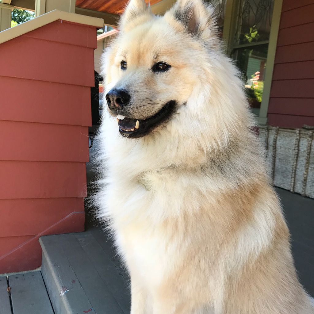 017D3C15-DB4D-4E9F-B5CE-DF982943D40C.jpe