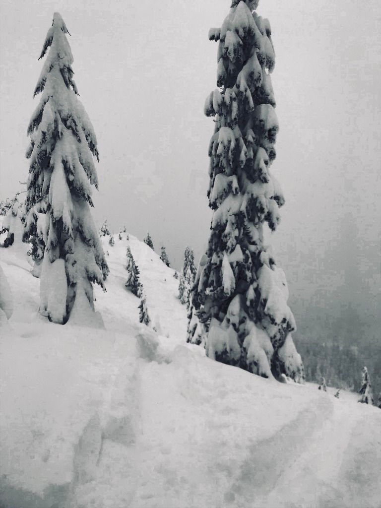 4F152A4E-7F36-4D9D-9966-9FB030346177.jpe