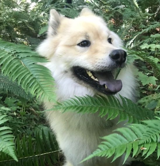 5E75639C-A93E-451A-B49E-76AD42282C02.jpe