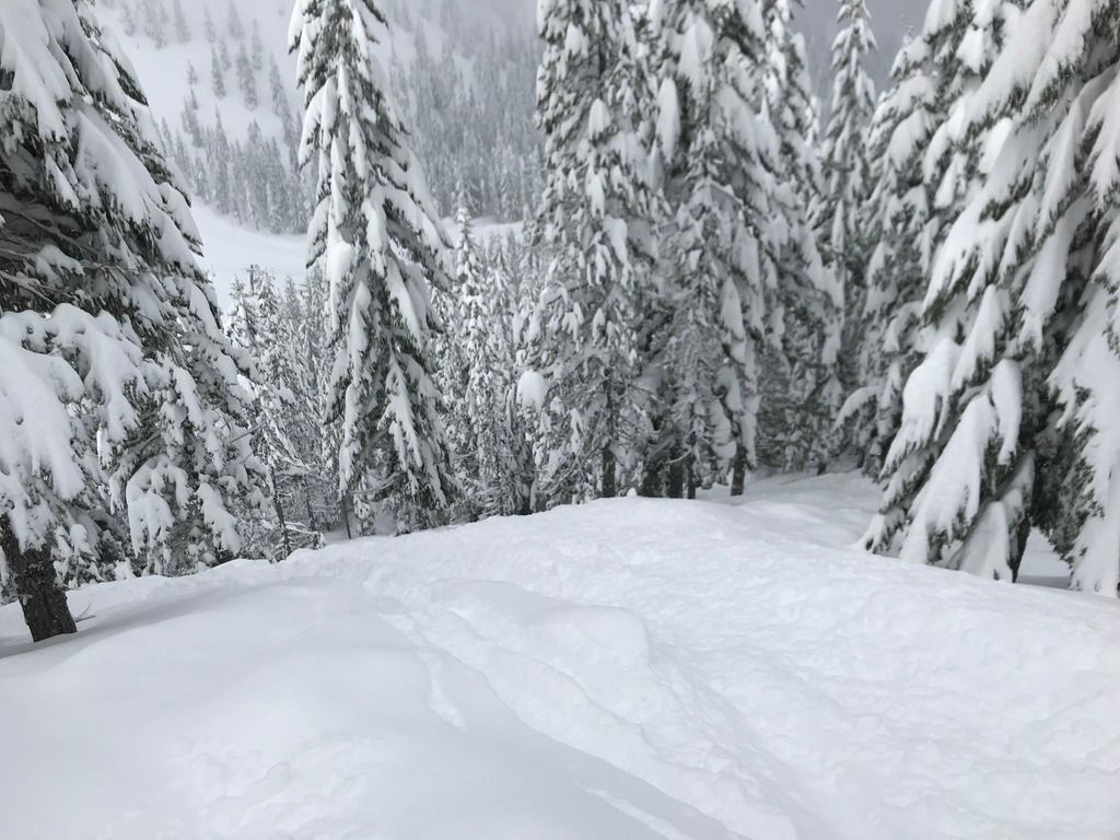 6B43811A-0167-4B8A-989C-245DE4A183E1.jpe