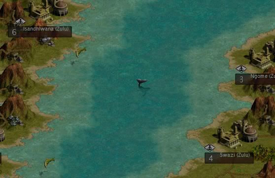 antiwhale4.jpg