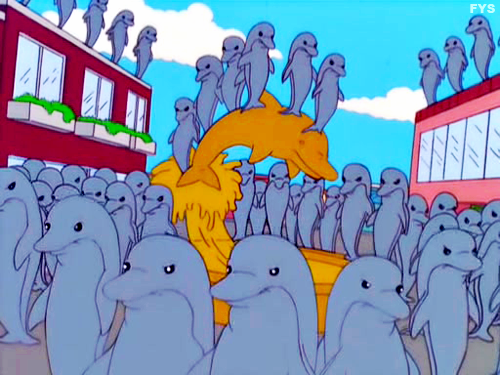 Delfines, el post que se merecen.