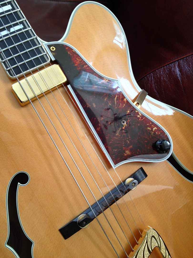 Best floating pickup for archtop