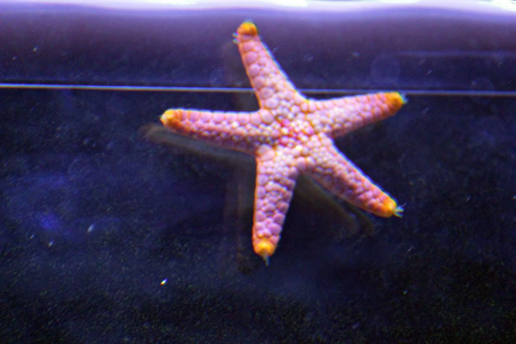 _MG_0247.jpg