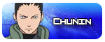 Chunin Chunin