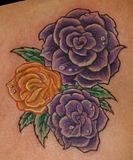 Rose,Roses,Color,Southside,Chris,Posey,tattoo,tattoos,tatu,tatus,tat2,tat2s,tatoo,tatoos,tatto,tattos