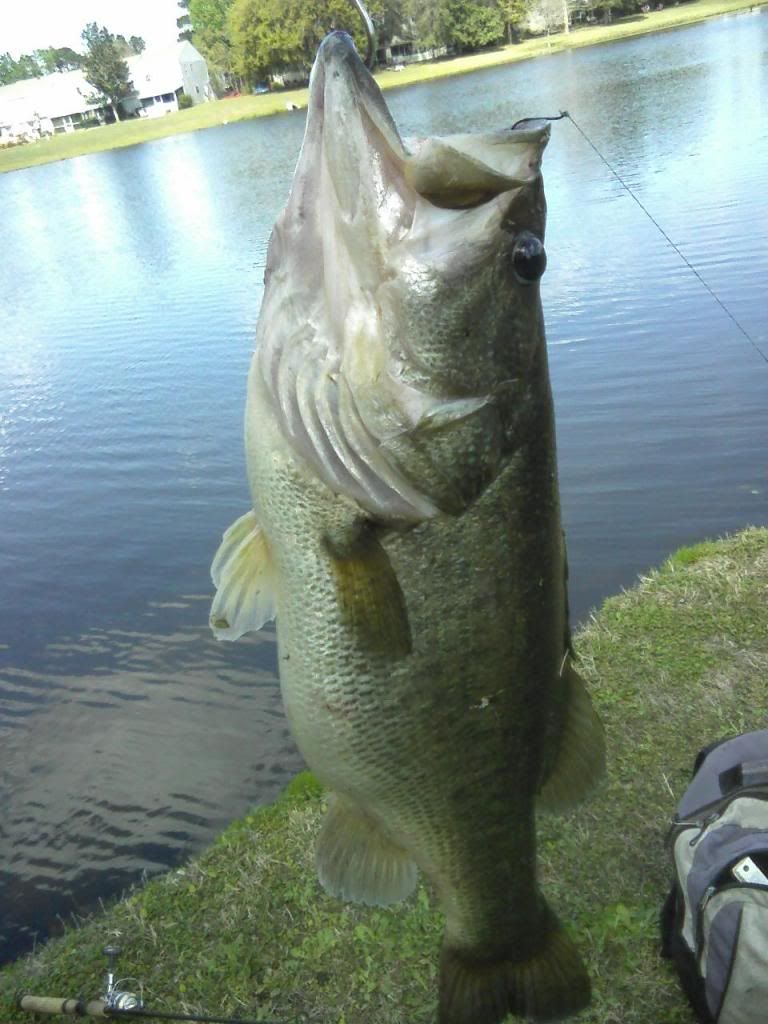 0308110415-00.jpg?t=1310700742