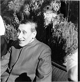 Guenon photo a4c.png