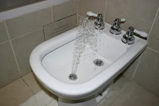 bidet.jpg