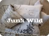 Junk Wild