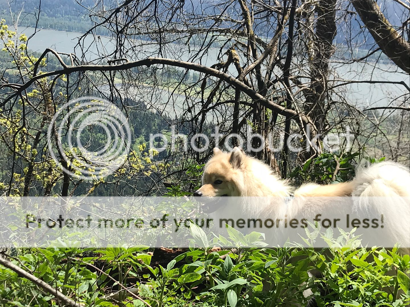 09BB728F-337A-4360-B944-D593CAD77EB9.jpe