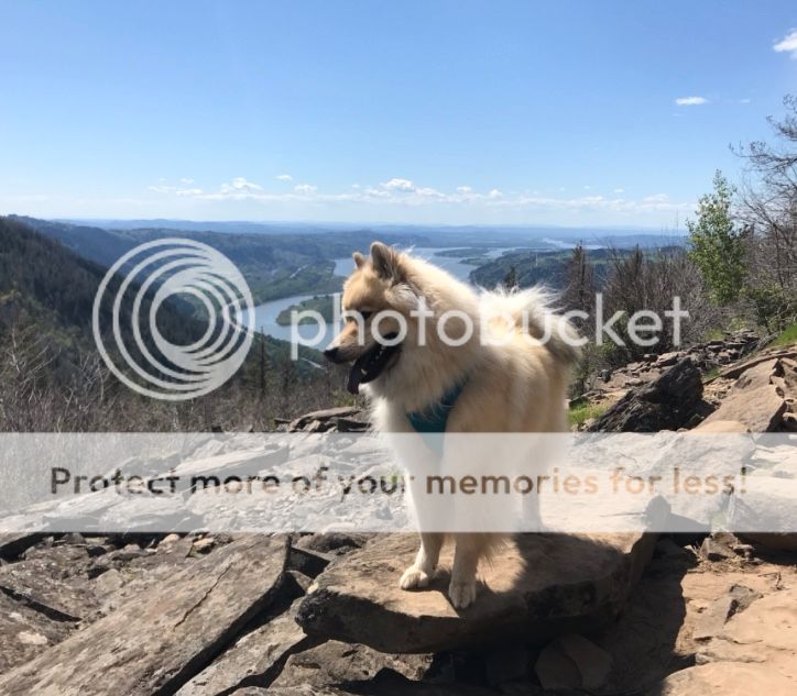 0E4AF247-E418-4977-A251-5E004075FCD6.jpe