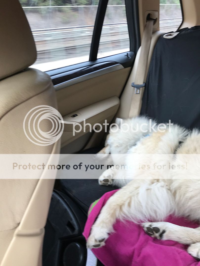 70DA8742-47F0-4AD6-9C91-695FE5AED428.jpe