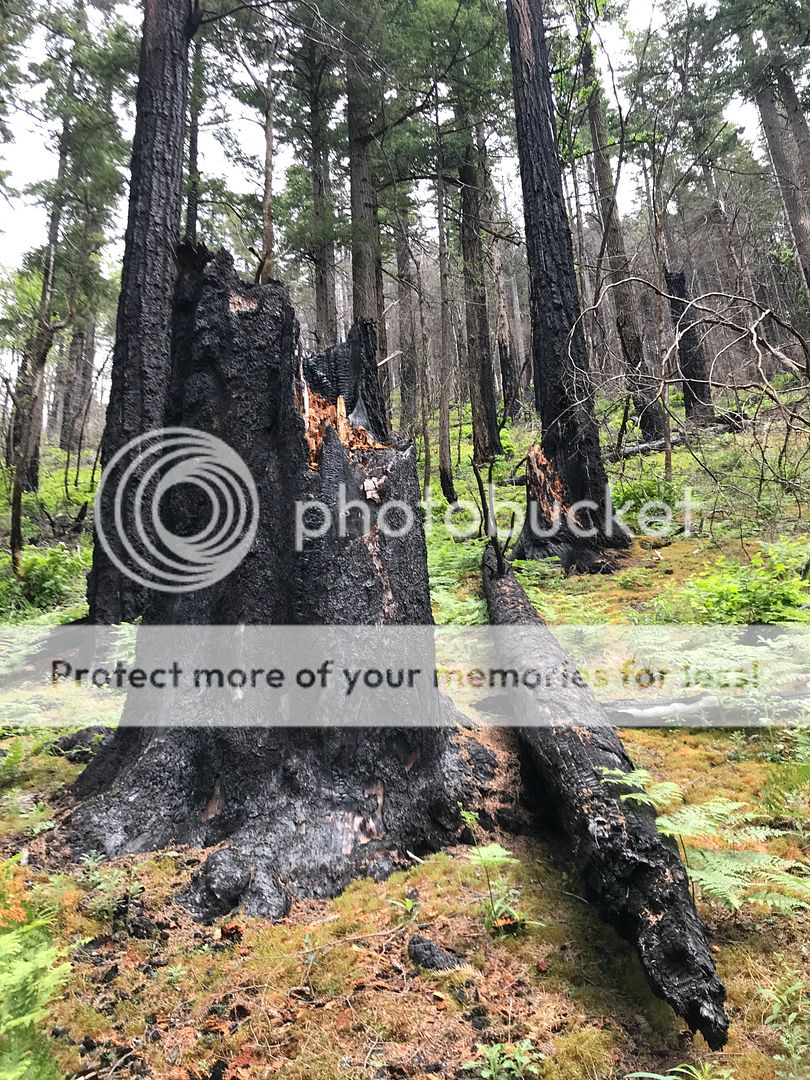 711834CF-FEAF-4173-AFBA-C93384F77AB3.jpe