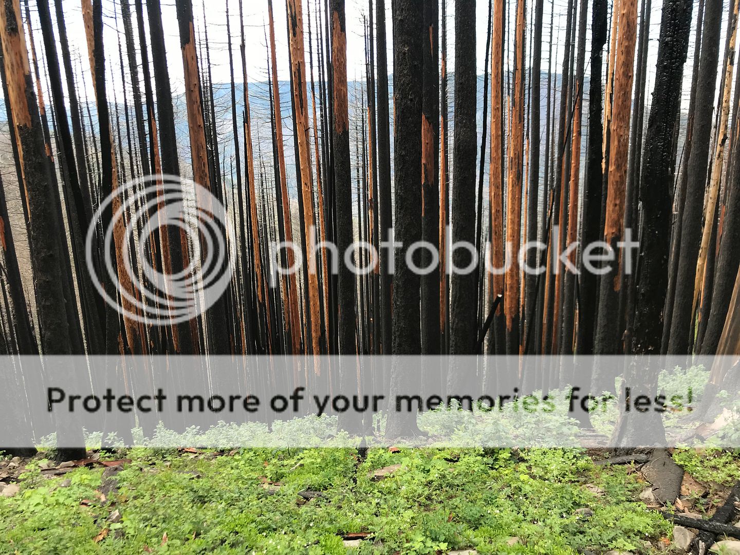 9123ADE6-1059-4881-80CE-5B57EED70FDB.jpe