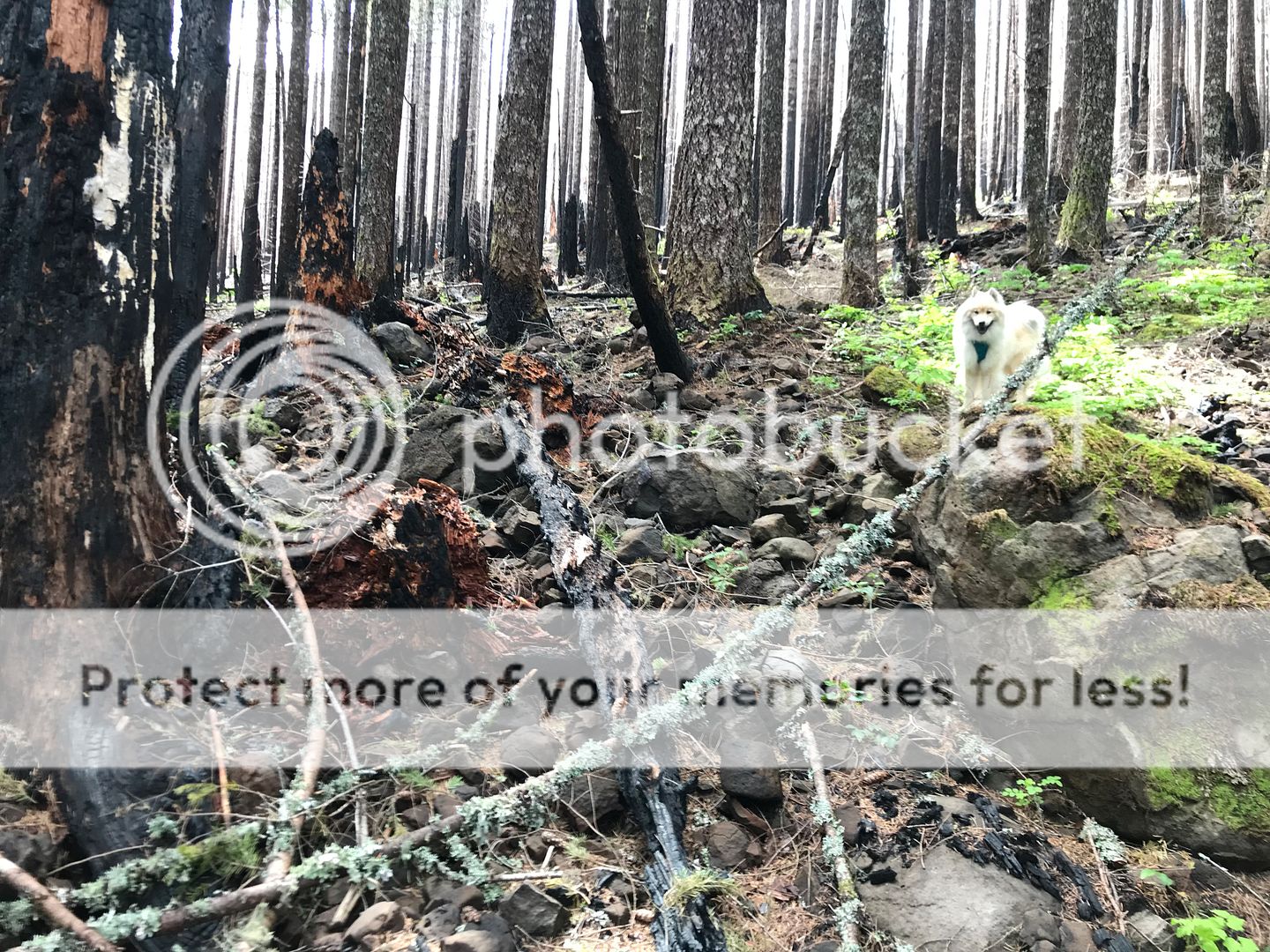 9632EA00-AEC4-4B30-B0D6-BB69C6A2E8B2.jpe