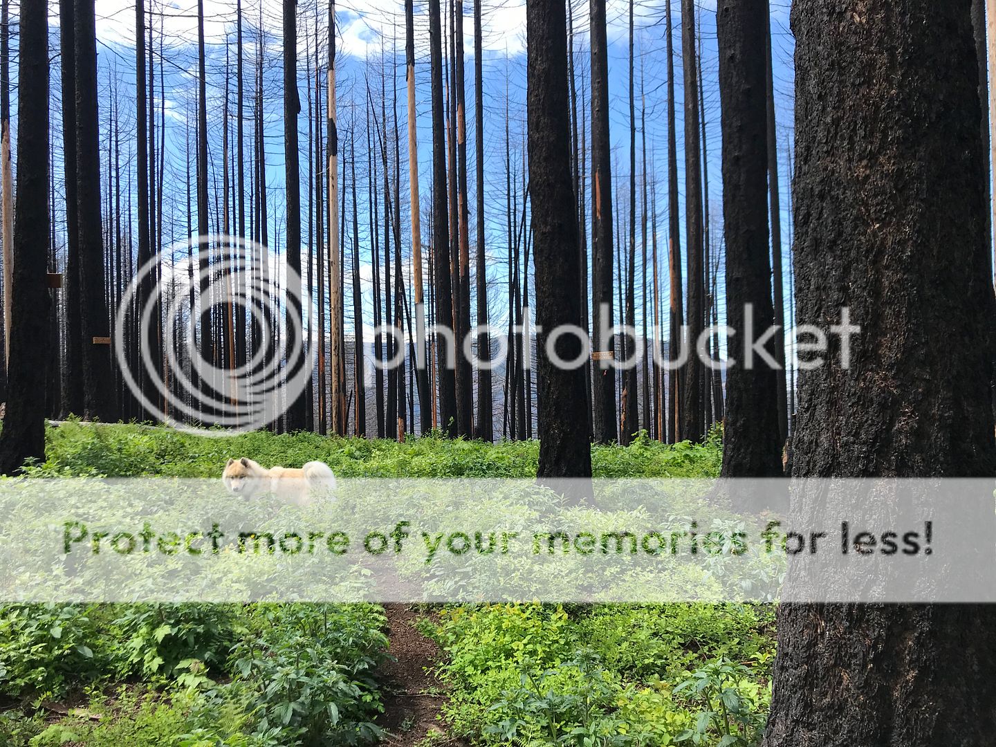 A280DE34-B54A-4CE2-A25D-33925F9AA57F.jpe