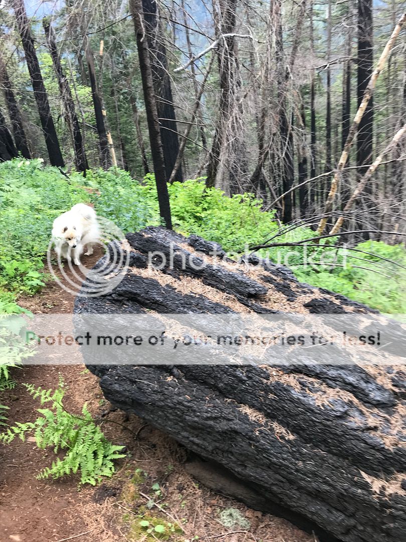 ADD3002D-BC36-4EB1-A57A-FA440EDF1BD6.jpe