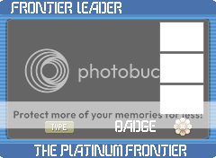 The Platinum Frontier